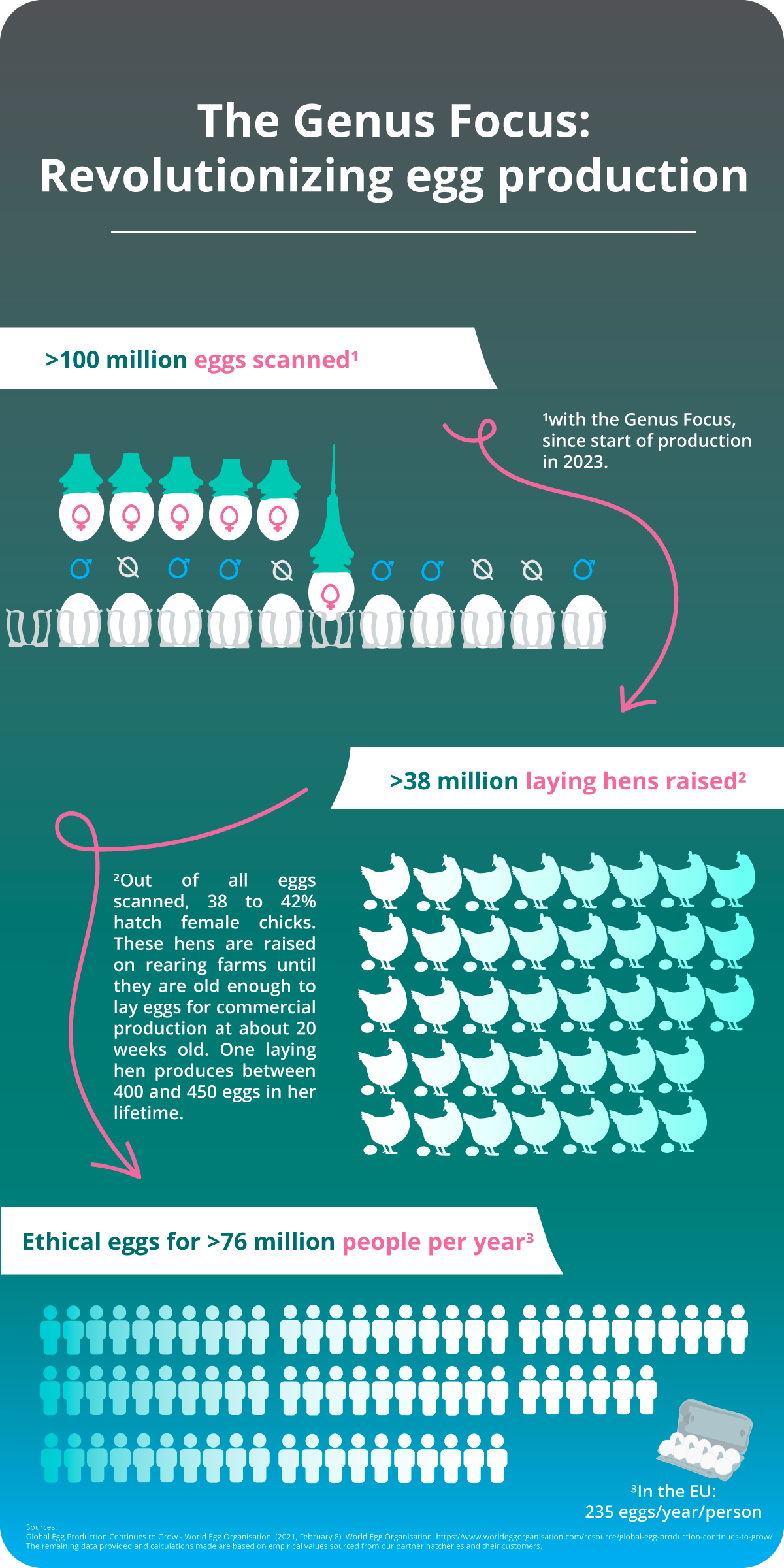 NEW_Infographic_scanned-eggs-copy_colours