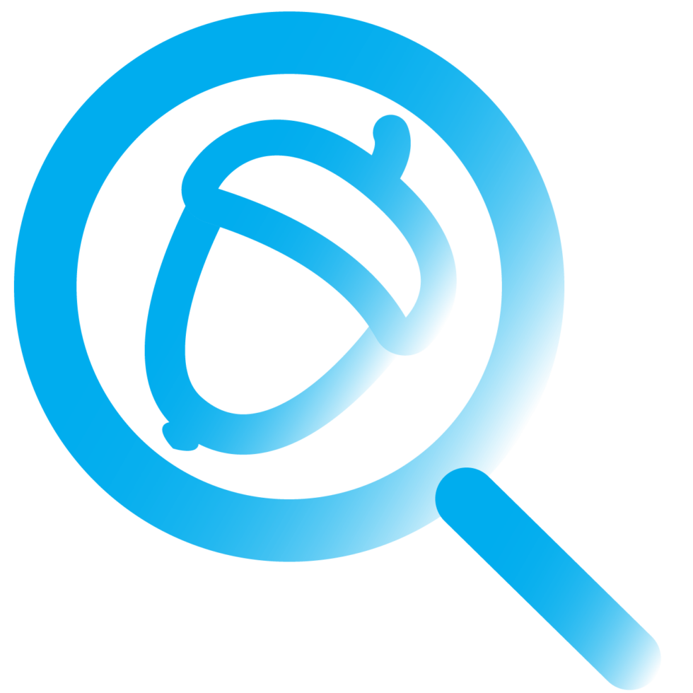 Nuts quality control scanning classification, and sorting Orbem