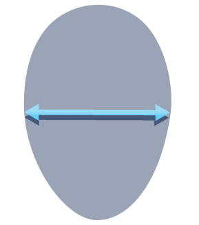 Fertilized egg