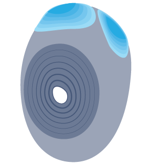 Fertilized egg