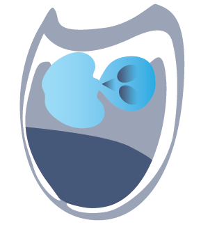 Fertilized egg