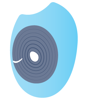 Fertilized egg