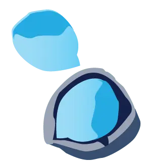Fertilized egg