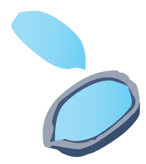 Fertilized egg