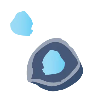 Fertilized egg