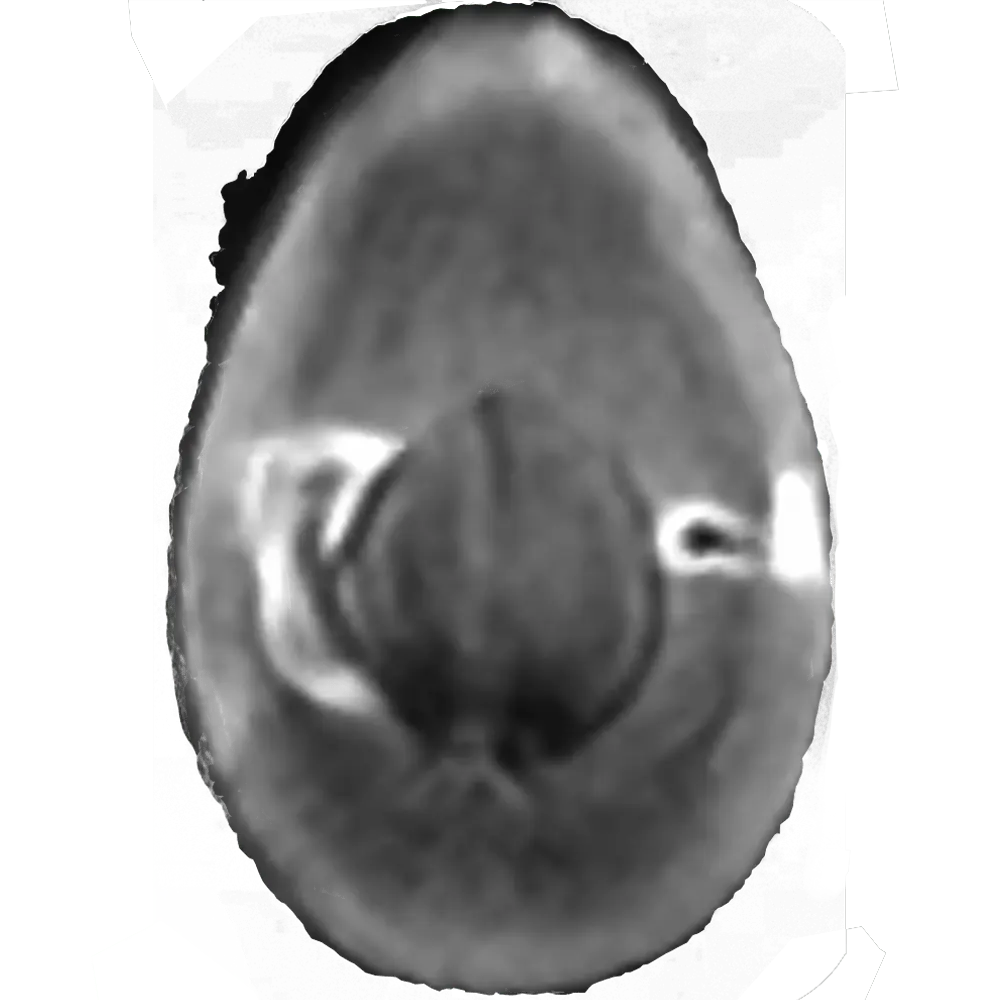 Scanned