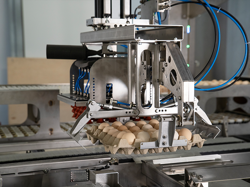 Genus Scale placing egg tray