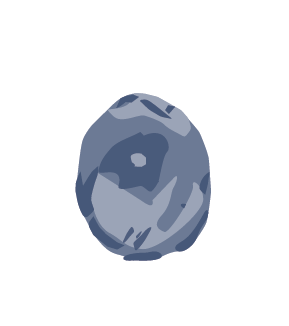 Fertilized egg