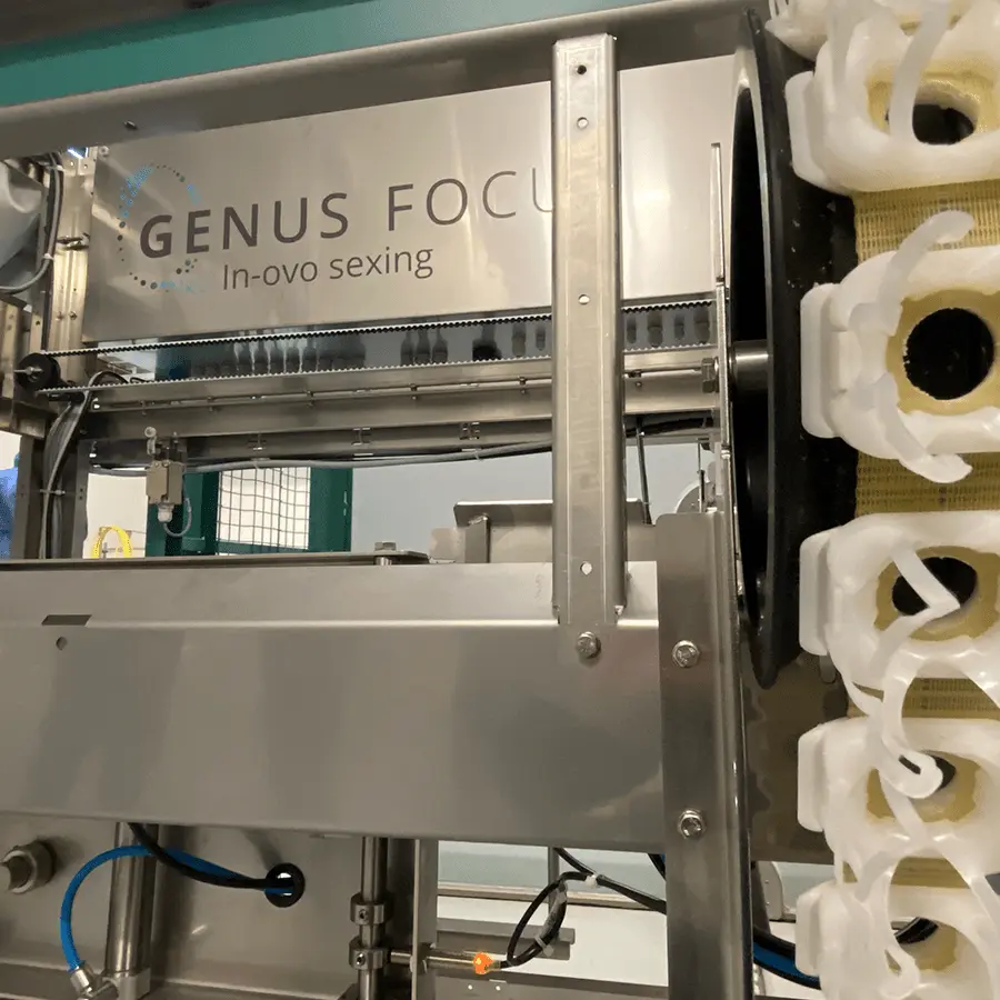 Genus Focus Hendrix Genetics