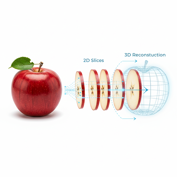 3d reconstruction of an apple