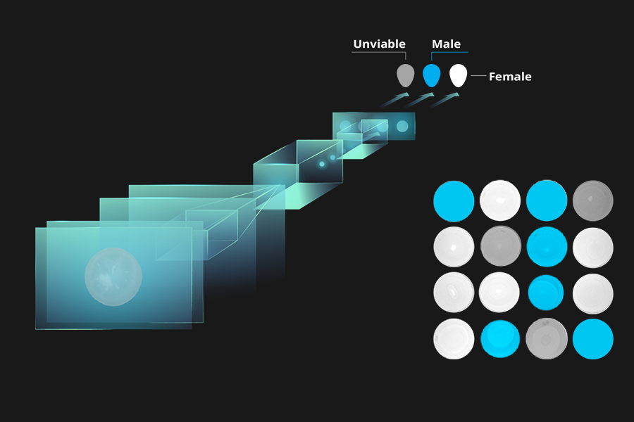 AI powered MRI for in ovo sexing