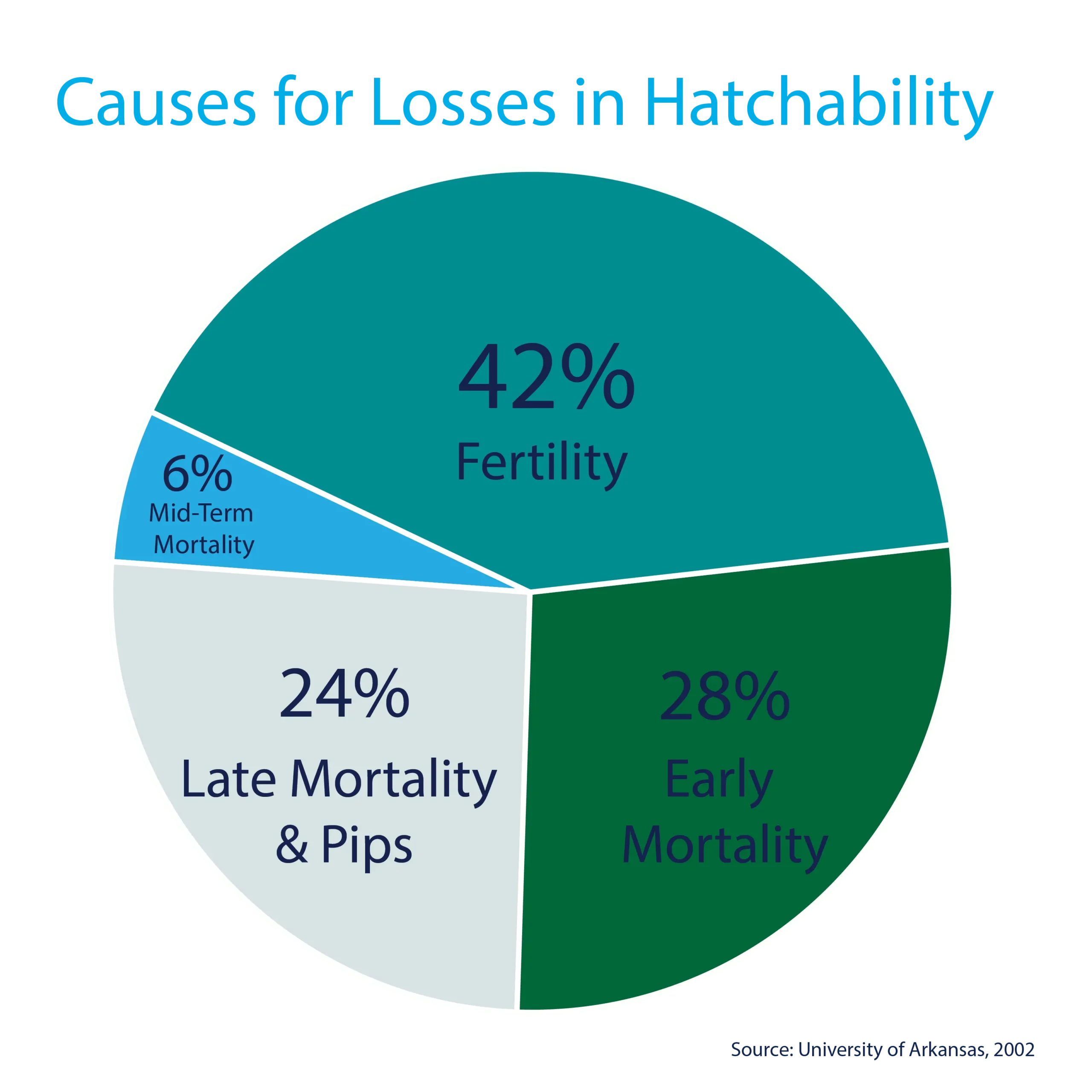 Causes-Losses-in-Hatchability