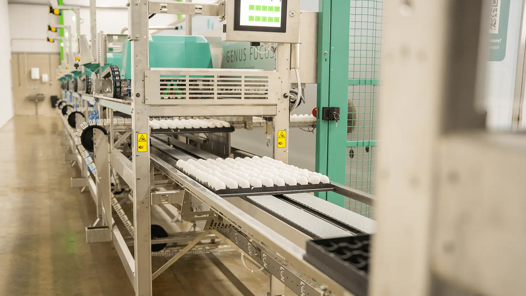 Pluriton-in-ovo-sexing-Genus-Focus